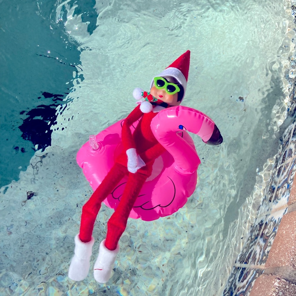 Meet your Posher, Flavia